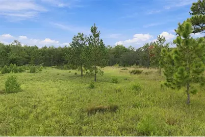 0 Seely Lane, Weeki Wachee, FL 34613 - Photo 26