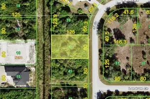 7009 Manniz Rd, Port Charlotte, FL 33981 - Photo 1
