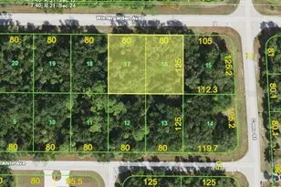 17217 Wintergarden Ave, Port Charlotte, FL 33948 - Photo 1
