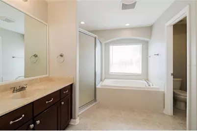 30630 Annadale Drive, Wesley Chapel, FL 33545 - Photo 8