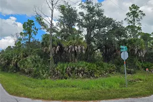 14002 Dunlap Ave, Port Charlotte, FL 33953 - Photo 1