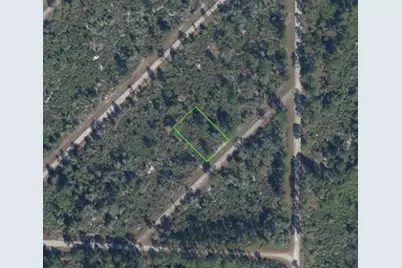 3513 Turin Street, Lake Placid, FL 33852 - Photo 2