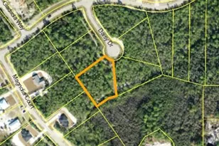 351 Daisy Dr, Eastpoint, FL 32328 - Photo 1