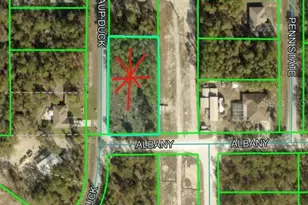 12421 Albany Rd, Weeki Wachee, FL 34614 - Photo 1