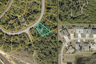 Blueleaf Dr, North Port, FL 34288 - Photo 1