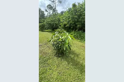 20246 Gladstone Avenue, Port Charlotte, FL 33952 - Photo 26