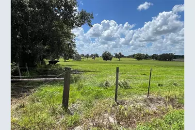 Johns Road, Wauchula, FL 33873 - Photo 14