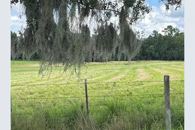 Johns Road, Wauchula, FL 33873 - Photo 4
