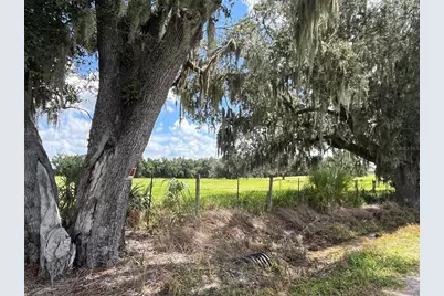 Johns Road, Wauchula, FL 33873 - Photo 2