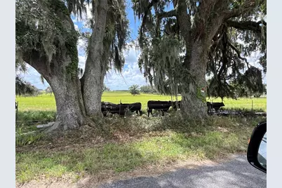 Johns Road, Wauchula, FL 33873 - Photo 12