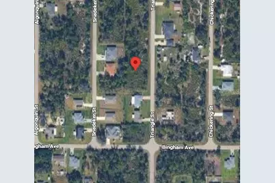 133 Triangle Street, Port Charlotte, FL 33954 - Photo 2