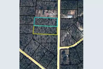 Lot #8 Edision, Alford, FL 32420 - Photo 1