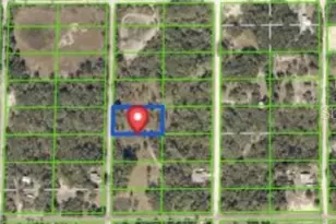 7490 Castleberry Dr, Ridge Manor Estates, FL 33597 - Photo 1