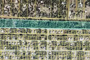 Narcissus Terrace, North Port, FL 34286 - Photo 1
