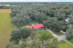 1231 SE Hansel Ave, Arcadia, FL 34266 - Photo 70