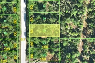 13252 Santa Maria Dr, Punta Gorda, FL 33955 - Photo 1