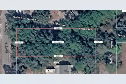 Lots 1-3+12-14 Cedar Street, Paisley, FL 32767 - Photo 1