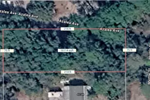 Lots 1-3+12-14 Cedar St, Paisley, FL 32767 - Photo 1