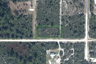 2255 S Page Rd, Avon Park, FL 33825 - Photo 1
