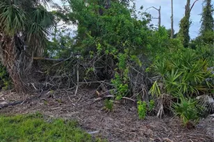 13488 Drysdale Ave, Port Charlotte, FL 33981 - Photo 1