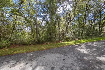 3210 E Michael Street, Inverness, FL 34453 - Photo 4