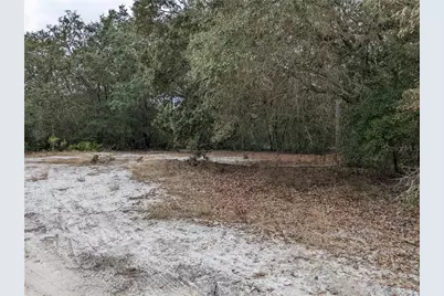 3742 S Pelican Avenue, Inverness, FL 34450 - Photo 4