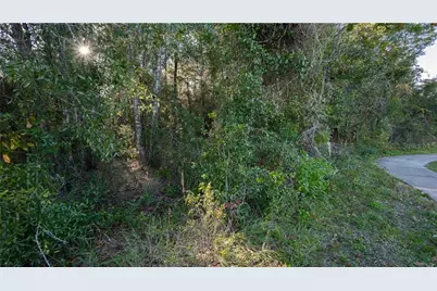4164 W Gulf To Lake Highway, Lecanto, FL 34461 - Photo 20