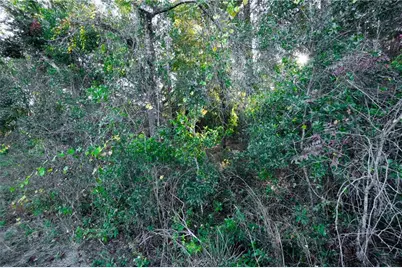 4164 W Gulf To Lake Highway, Lecanto, FL 34461 - Photo 26