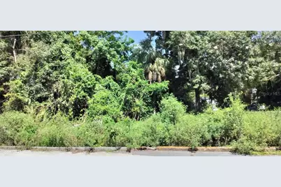 1980 S Tsala Terrace, Inverness, FL 34450 - Photo 6
