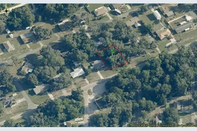 8731 E Gospel Island Road, Inverness, FL 34450 - Photo 6