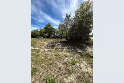 2090 W Roseboro Drive, Citrus Springs, FL 34434 - Photo 2