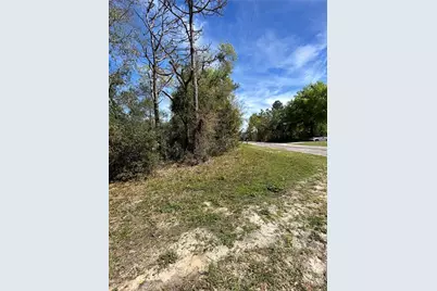 2101 W Most Lane, Citrus Springs, FL 34434 - Photo 6