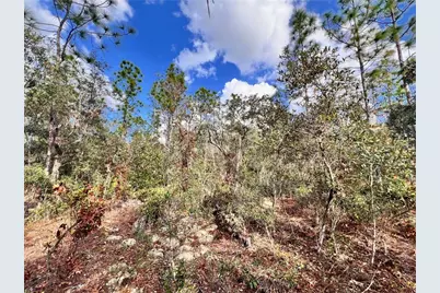 6328 W Pine Ridge Boulevard, Beverly Hills, FL 34465 - Photo 8