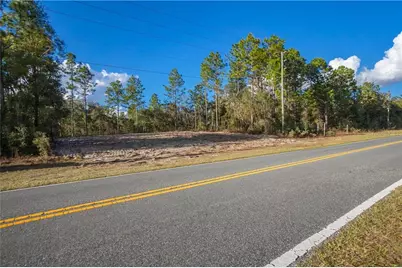 10510 N Elkcam Boulevard, Citrus Springs, FL 34433 - Photo 2