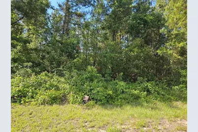 622 E Abady Lane, Citrus Springs, FL 34434 - Photo 2