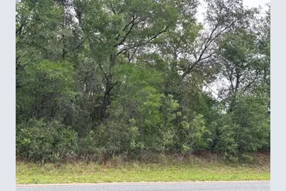 93 N Croft Avenue, Inverness, FL 34453 - Photo 6