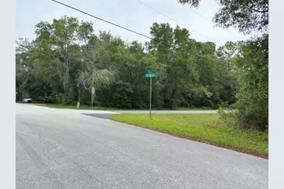 359 N Fitzpatrick Avenue, Inverness, FL 34453 - Photo 6