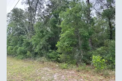 359 N Fitzpatrick Avenue, Inverness, FL 34453 - Photo 4