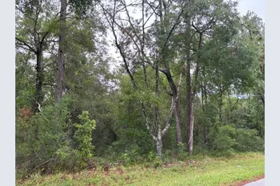 359 N Fitzpatrick Avenue, Inverness, FL 34453 - Photo 2