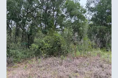 6717 E Gentry Street, Inverness, FL 34452 - Photo 1