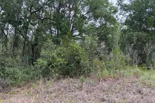 6717 E Gentry St, Inverness, FL 34452 - Photo 1