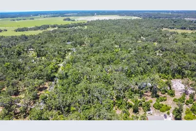 105 NE 239 Avenue, Old Town, FL 32680 - Photo 24