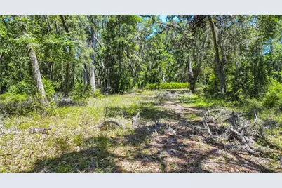 105 NE 239 Avenue, Old Town, FL 32680 - Photo 10