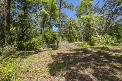 105 NE 239 Avenue, Old Town, FL 32680 - Photo 4
