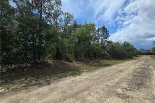 6468 N Baylor Terrace, Citrus Springs, FL 34433 - Photo 1