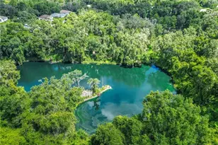 3153 N Chandler Dr, Hernando, FL 34442 - Photo 46