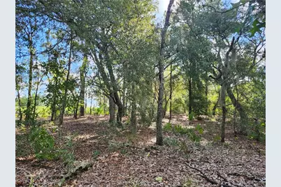 6731 N Darlington Drive, Dunnellon, FL 34434 - Photo 4
