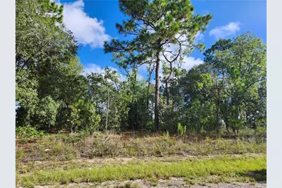 6731 N Darlington Drive, Dunnellon, FL 34434 - Photo 1