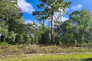 6731 N Darlington Dr, Dunnellon, FL 34434 - Photo 1