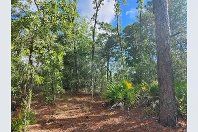 6731 N Darlington Drive, Dunnellon, FL 34434 - Photo 2